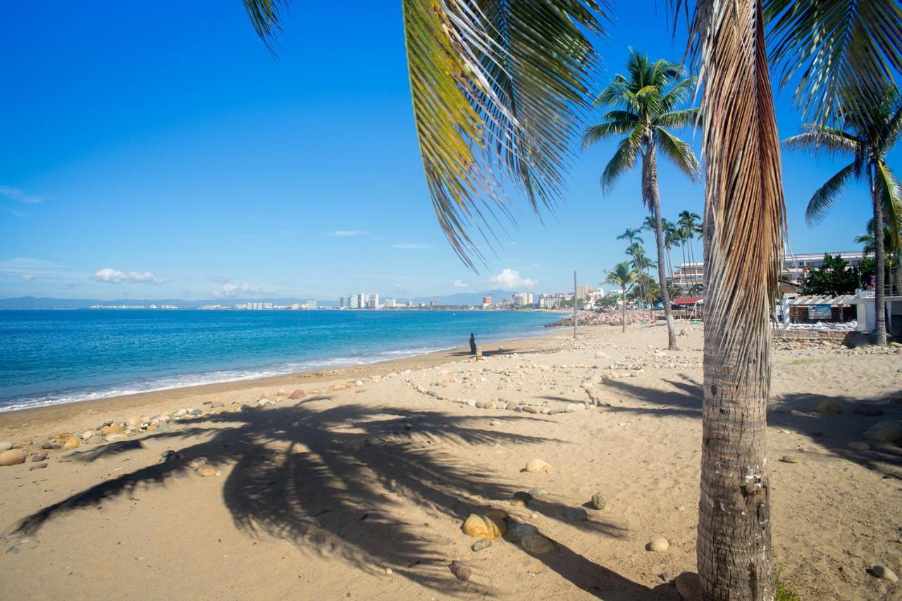 ホテル Casa Maria Malecon プエルトバラータ エクステリア 写真